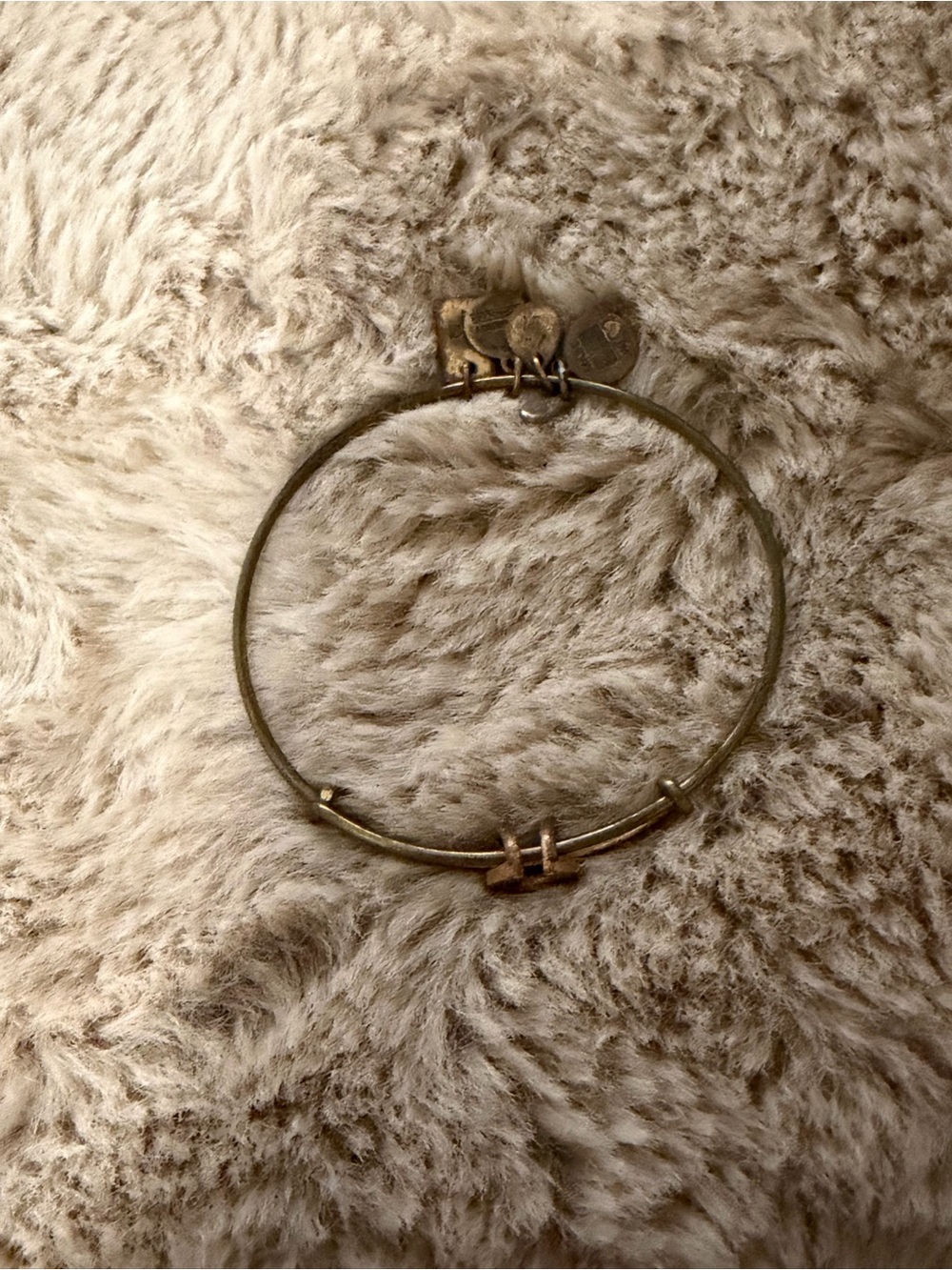 Alex & Ani Horseshoe Gold-Tone Adjustable Bangle Bracelet